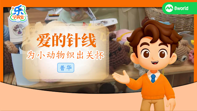 【普华】爱的针线　为小动物织出关怀