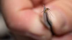 Related article image