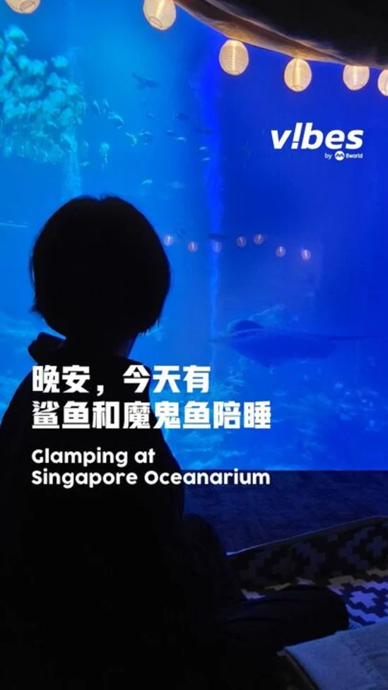 20260602_LS_Ocean-dreams_vod_02