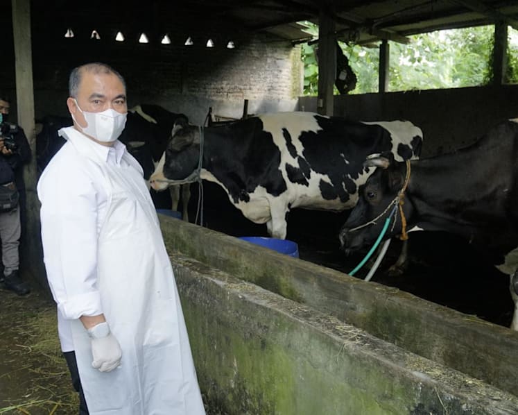 Travellers leaving Bali to undergo disinfection amid outbreak of foot and mouth disease among livestock