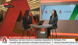 ESG is not a fad, it's a must do: Temasek