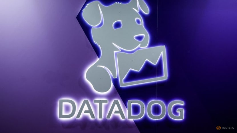 Datadog sees annual revenue, profit below estimates as enterprise spending lags Datadog sees annual revenue, profit below estimates as enterprise spending lags