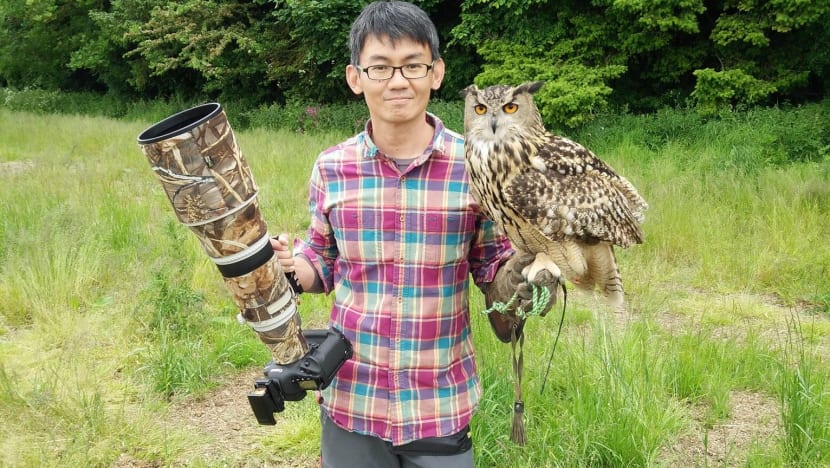 Related article image