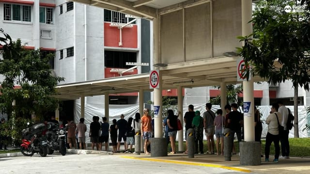截至下午5点 逾230万或约85%选民已投票