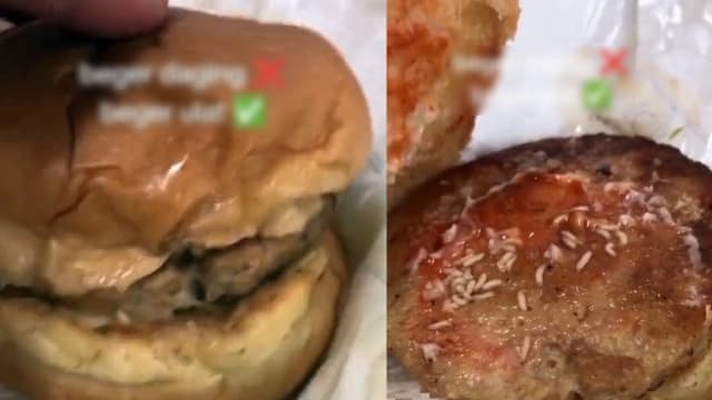 大道休息站疑售过期食物 马国女子买到长蛆虫汉堡