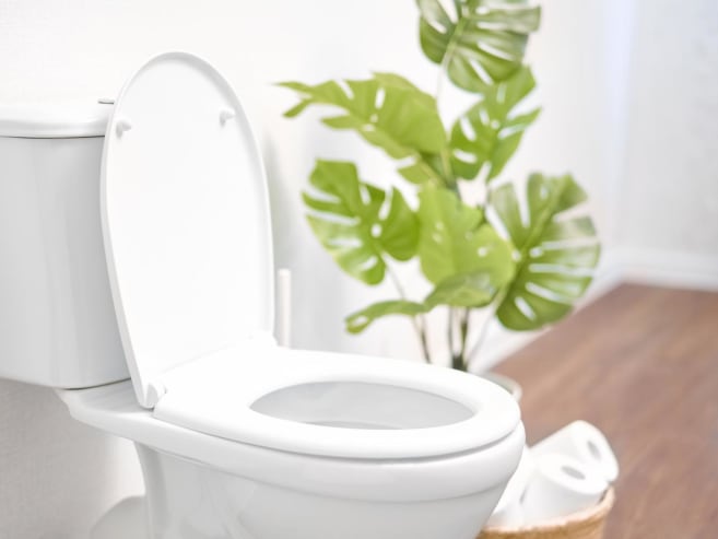 Is going to the bathroom 'just in case' bad for you?