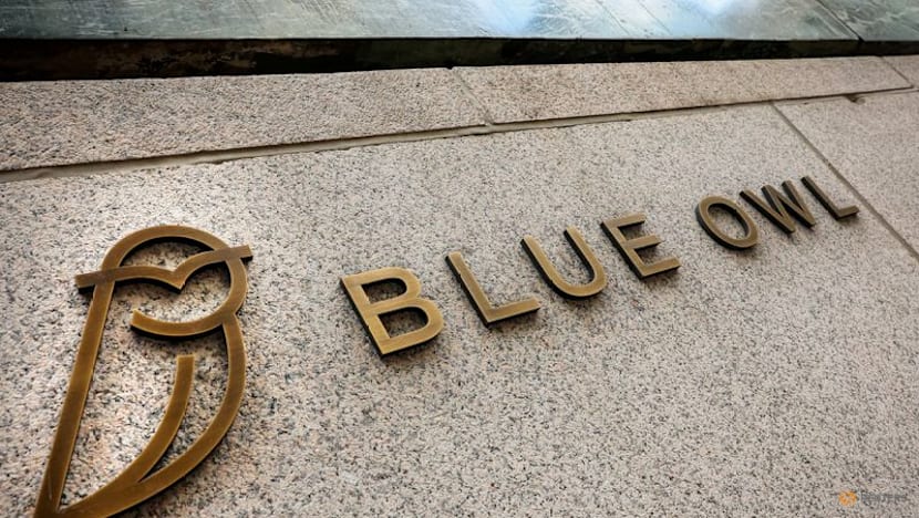 Blue Owl will reduce private credit exposure to software