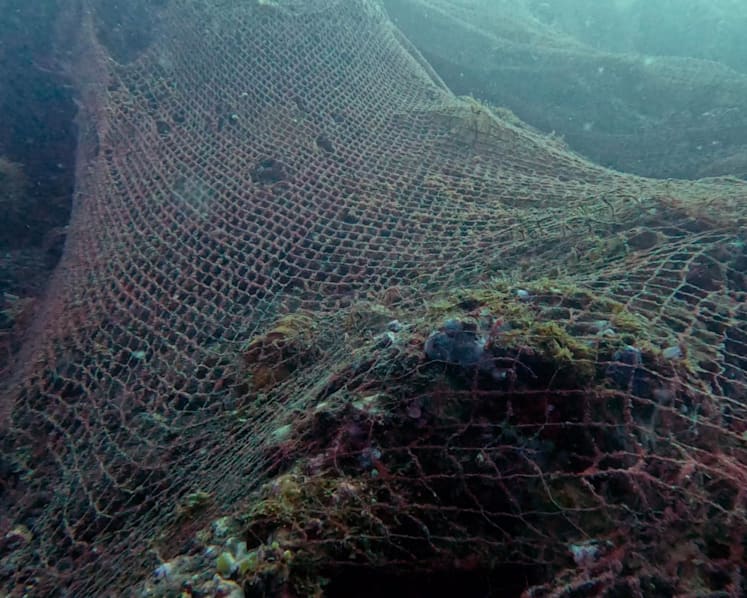 A diver walked into a Mexican restaurant. Now they're teaming up to clear discarded fishing nets in Bali waters