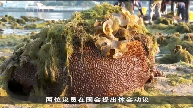 李智陞：政府各部门合作规划 海洋生态环境永续发展计划