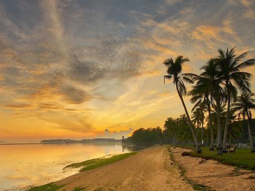 Launched on Thursday (Dec 19), the Pasir Ris Heritage Trail runs 14km long and aims to showcase the eastern neighbourhood's coastal and natural features.