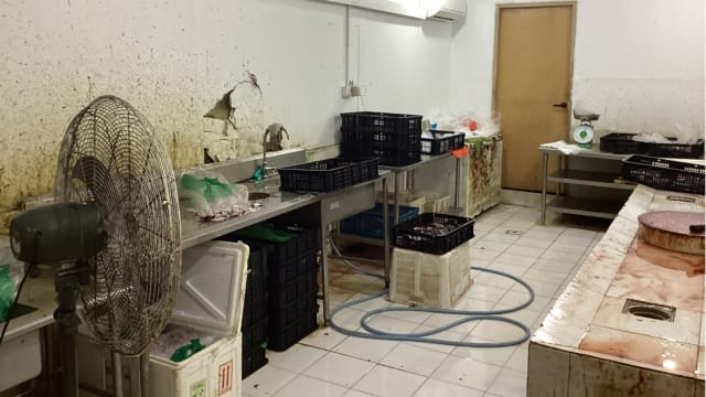违法经营冷库储藏肉类海鲜 一公司和董事被罚款