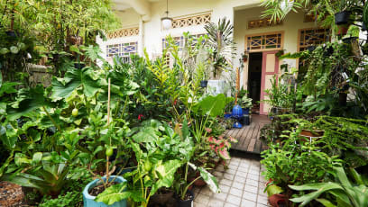 Can’t Keep Your House Plants Alive? Then You'll Need These Gardening Tips For Beginners