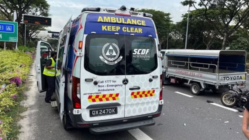 Jail for man with schizophrenia who jumped out of minibus, causing fatal ECP accident