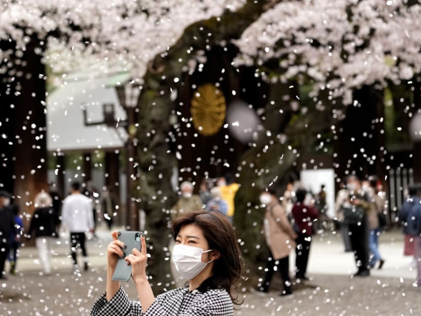Commentary: Why are Singapore travellers so enamoured with Japan? Commentary: Why are Singapore travellers so enamoured with Japan?