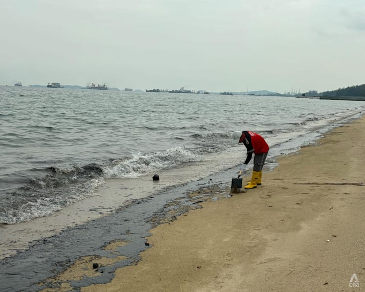 Oil spill clean-up at East Coast Park complete, all beaches reopened