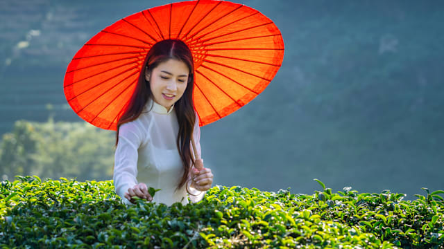 餐餐离不开淀粉，越南人“吃不肥”的3个关键