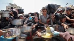 Related article image