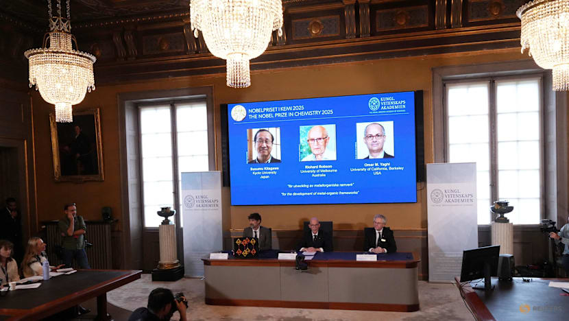 Trio wins chemistry Nobel for new form of molecular architecture