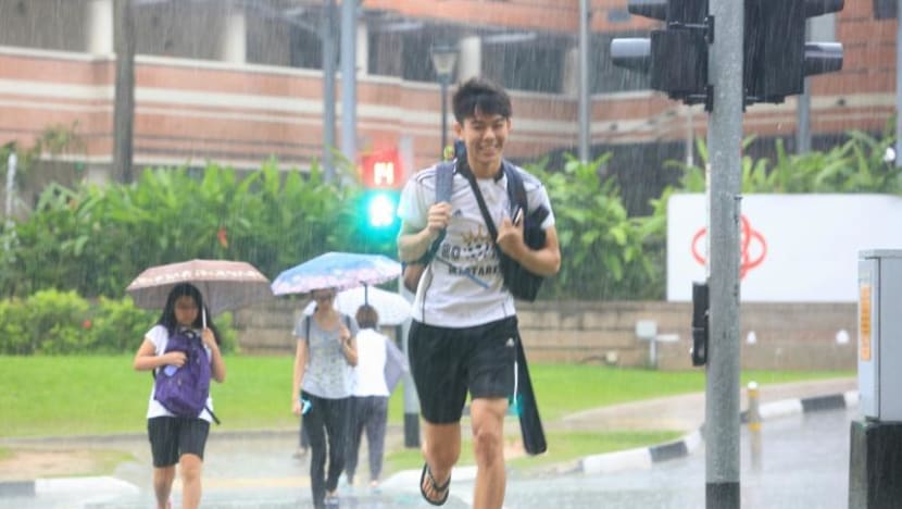 More thundery showers, warm days expected in second half of June