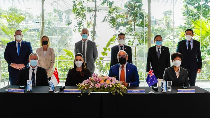 S'pore and New Zealand ink agreement to collaborate on sustainable aviation