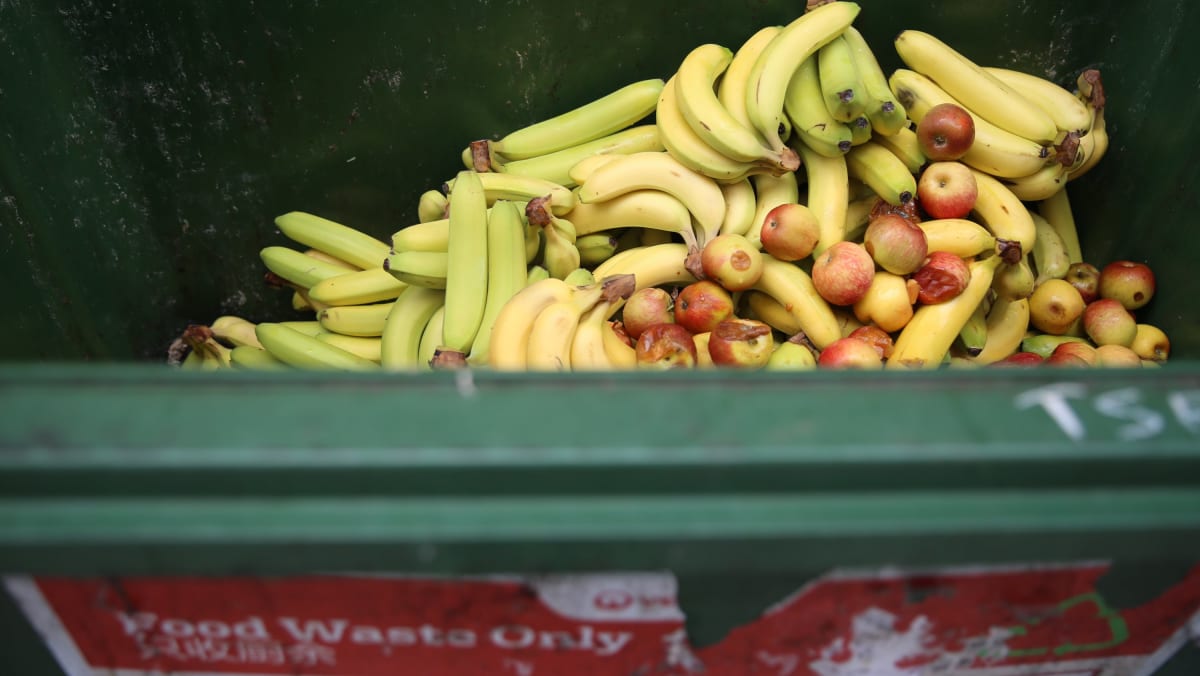 Zero Waste Masterplan - Today - CNA