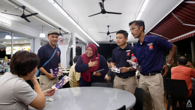 GE2025: Red Dot United candidate Liyana Dhamirah files police report over  online harassment - CNA