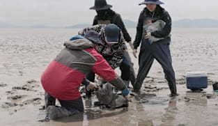 Tides of Time - The Sea Wall That Repelled King Tides