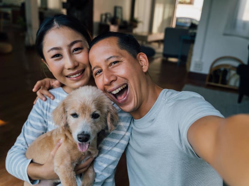 Fur parents’ questions answered: Are you overfeeding your pet? When should you take it to a vet? Fur parents’ questions answered: Are you overfeeding your pet? When should you take it to a vet?