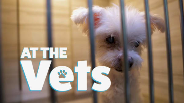 On The Red Dot: At The Vets S2