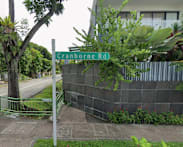 Worker, 38, dies after tree-felling accident in Katong