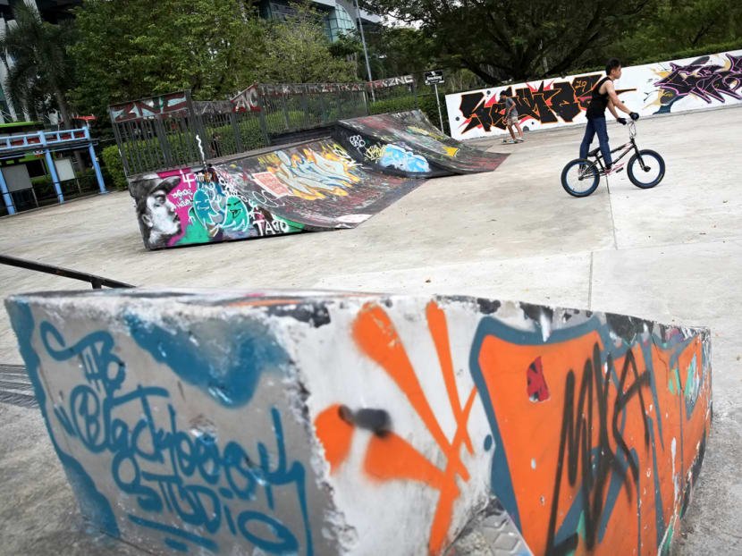The Somerset Youth Belt, the stretch of Somerset Road that encompasses spaces such as *Scape, The Red Box and a skate park (pictured), is set to be revamped. The Somerset Youth Belt, the stretch of Somerset Road that encompasses spaces such as *Scape, The Red Box and a skate park (pictured), is set to be revamped.