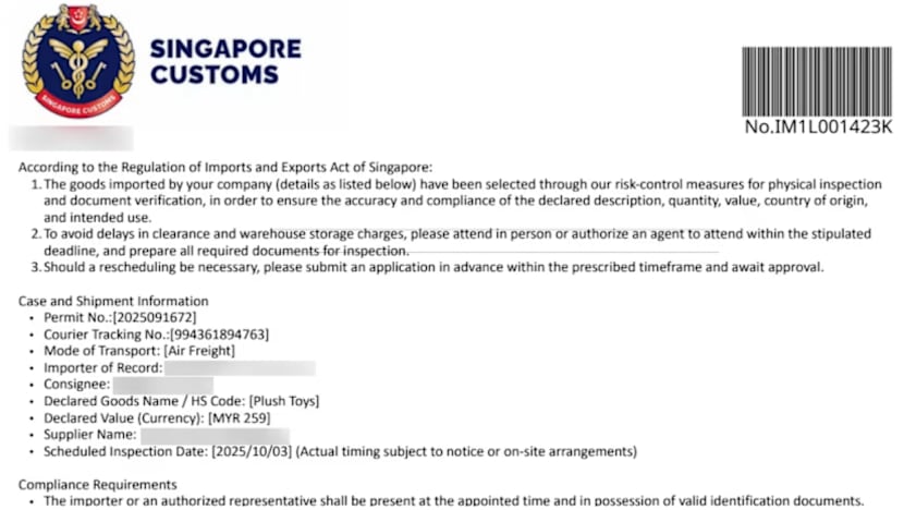 Kastam SG beri amaran 2 tipu helah baharu libatkan penghantaran bungkusan