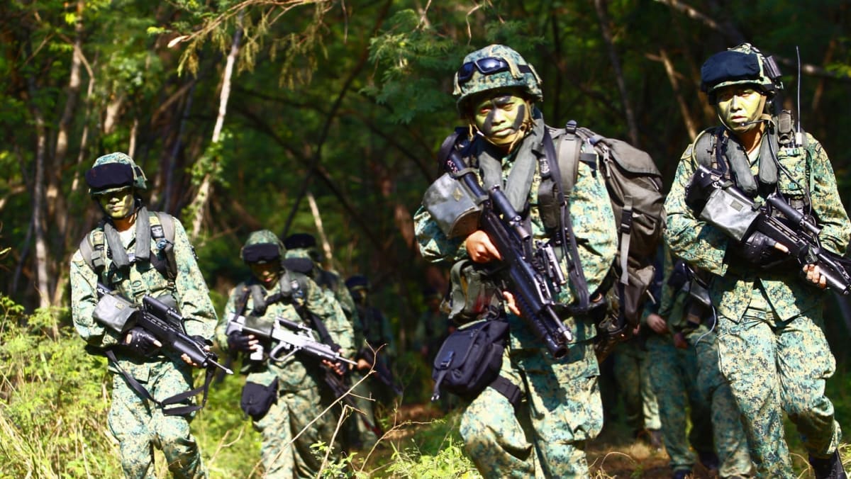 New SAF unit to fight terror - CNA