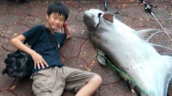 Gambar Pilihan Hari Ini