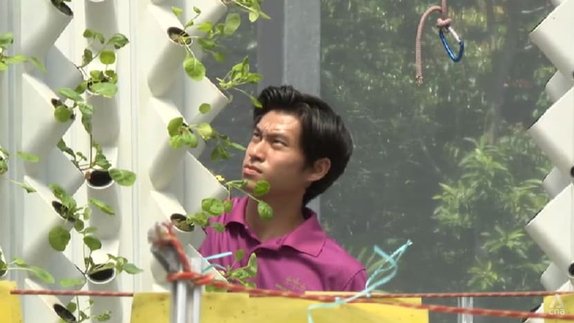 Why some young Singaporeans are becoming farmers, despite low pay and tough conditions