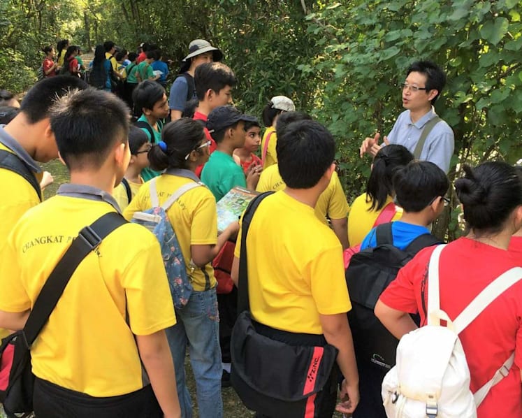 Sungei Buloh Wetland Reserve celebrates 30 years with activities and guided walks to previously inaccessible areas