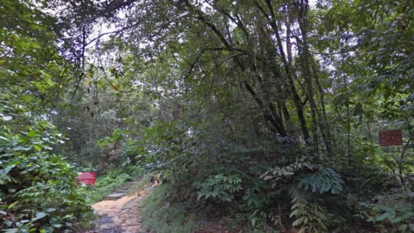 Lelaki alami luka tembakan ketika berbasikal di kawasan larangan SAF