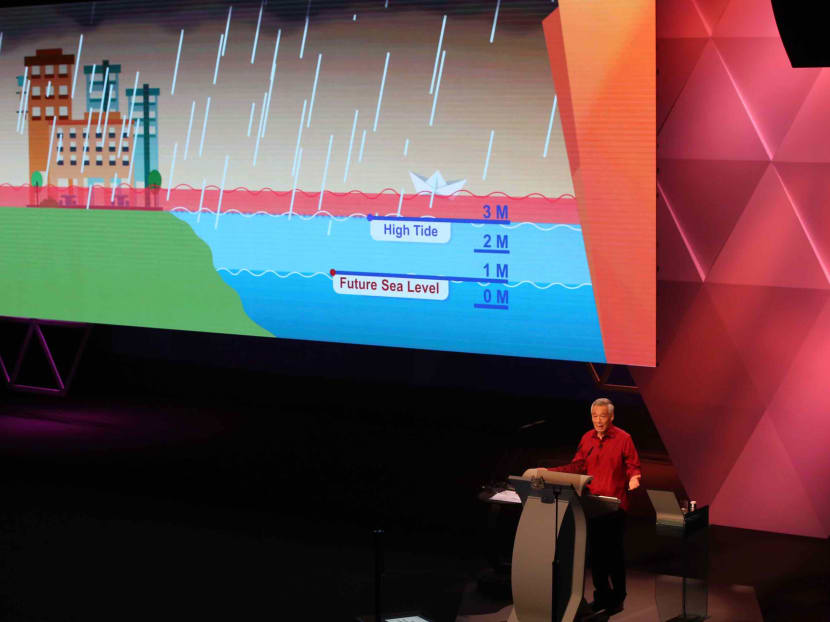 The author says that PM Lee's National Day Rally missed an opportunity to underline the importance of tackling climate change as an intergenerational responsibility. The author says that PM Lee's National Day Rally missed an opportunity to underline the importance of tackling climate change as an intergenerational responsibility.