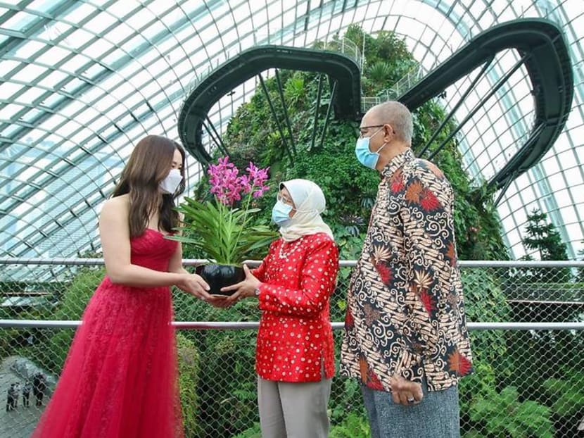 Catch performances by local stars at the Gardens by the Bay and Mediacorp National Day concert Catch performances by local stars at the Gardens by the Bay and Mediacorp National Day concert
