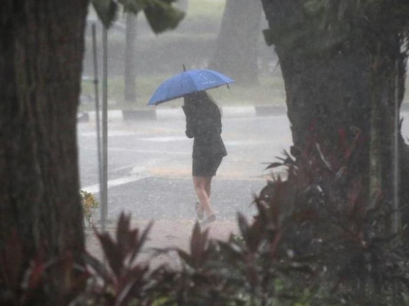 With climate change making weather more extreme, people need to adjust plans according to forecasts: Grace Fu