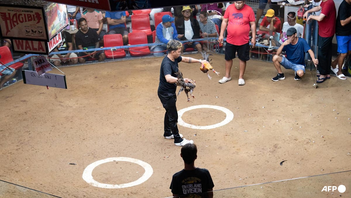 Korean Air bans roosters on US-Philippine routes amid cockfighting outcry