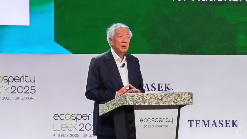 Asia integral to solve climate crisis, should collaborate for a low-carbon future: Teo Chee Hean Asia integral to solve climate crisis, should collaborate for a low-carbon future: Teo Chee Hean