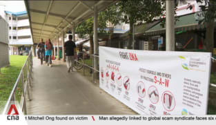 Marsiling-Yew Tee Town Council sets up task force to combat Zika after 2 cases found in Woodlands 