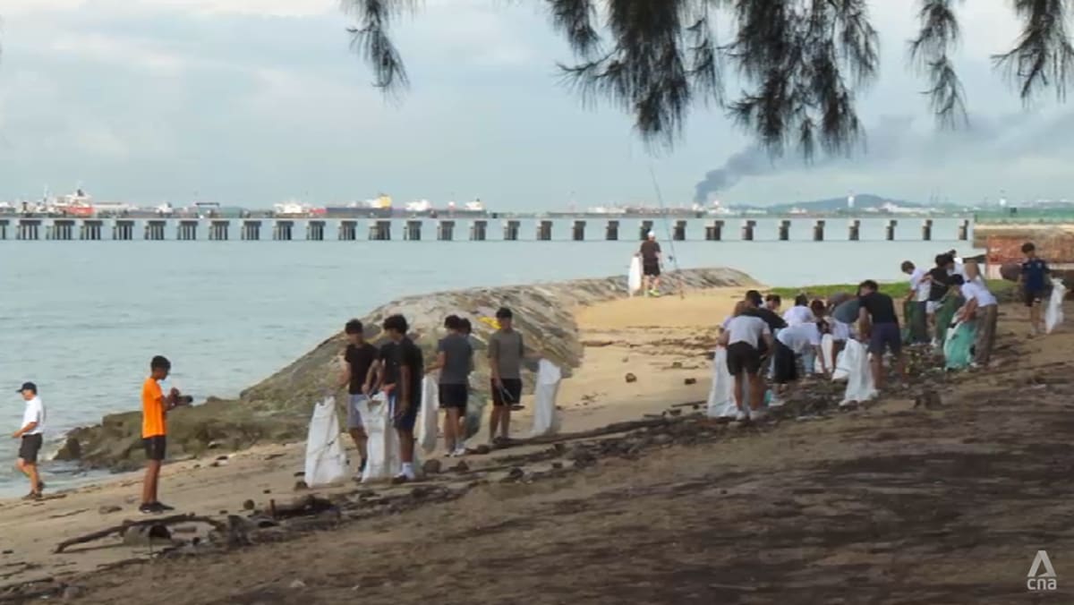 Growing numbers of volunteers tackle trash on Singapore's be