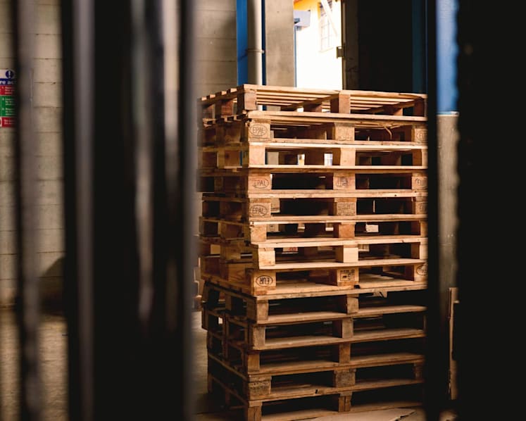 Jail for man who harboured grudge against colleague, threw 23kg wooden pallet at his head