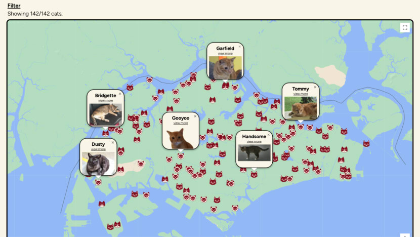 #trending: Redditor’s map of community cats in Singapore raises question on whether it is helpful or could be misused by abusers
