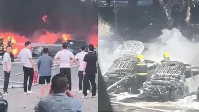 中国七旬老翁点燃杨柳絮酿火灾 20辆汽车被烧毁