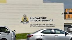 Related article image