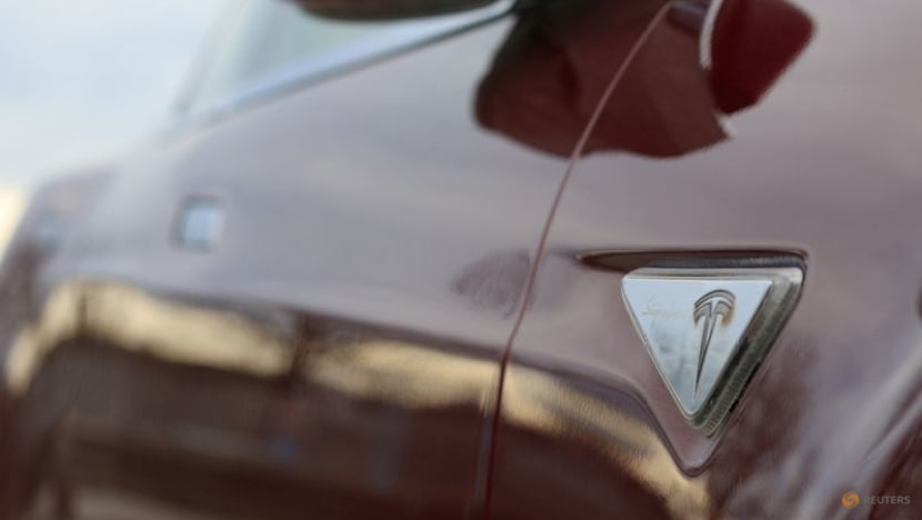 Tesla expects Dutch decision on self-driving technology by April 10