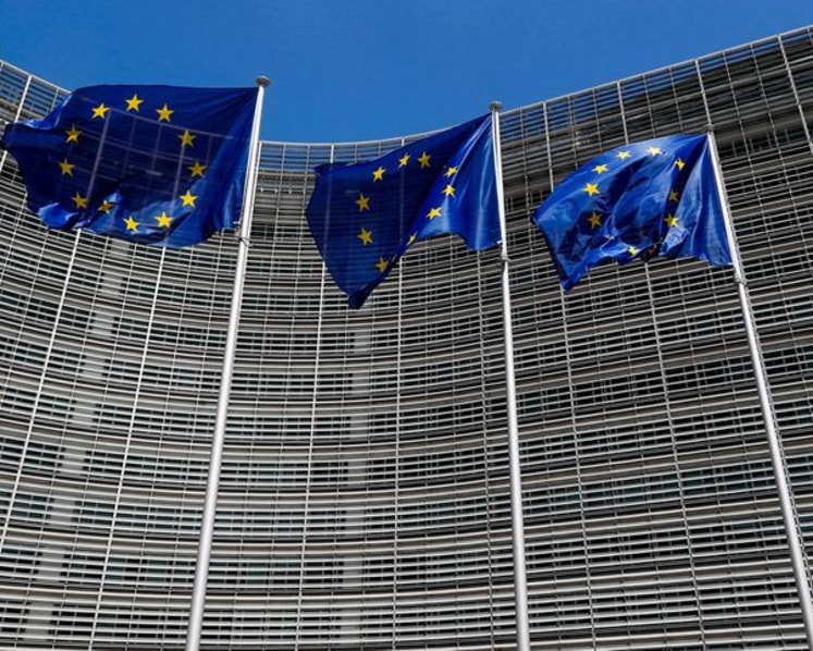EU lawmaker urges delay to US trade deal vote after tariff upheaval